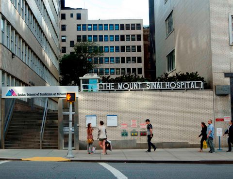 Mt Sinai