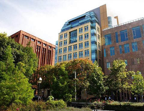 NYU Kimmel